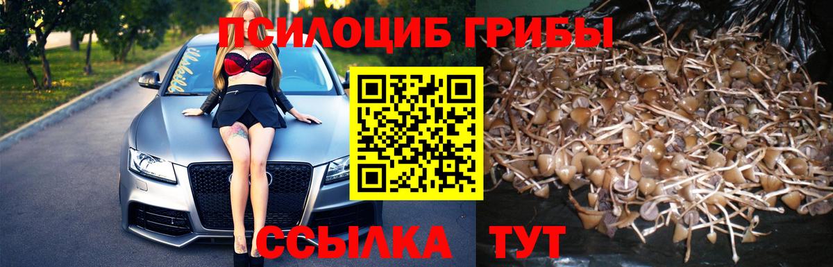 Рубцовск  Псилоцибиновые грибы Psilocybe  закладки  Вход с VPN  Галлюциногенные грибы MAGIC MUSHROOMS 